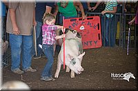 LCFAIR15-2419.jpg