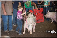 LCFAIR15-2420.jpg