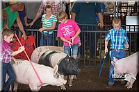 LCFAIR15-2421.jpg