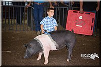 LCFAIR15-2422.jpg
