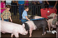 LCFAIR15-2423.jpg