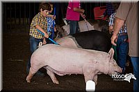 LCFAIR15-2424.jpg