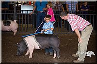 LCFAIR15-2426.jpg