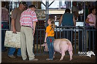 LCFAIR15-2431.jpg