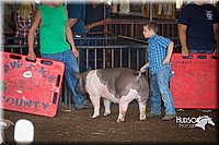 LCFAIR15-2432.jpg