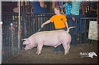 LCFAIR15-2433.jpg