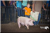 LCFAIR15-2434.jpg