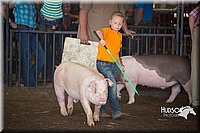 LCFAIR15-2435.jpg