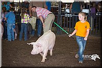 LCFAIR15-2436.jpg