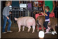 LCFAIR15-2438.jpg