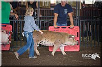 LCFAIR15-2439.jpg
