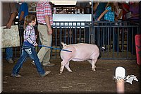 LCFAIR15-2440.jpg