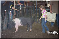 LCFAIR15-2442.jpg