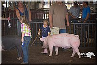 LCFAIR15-2444.jpg