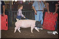 LCFAIR15-2445.jpg