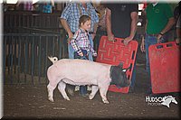 LCFAIR15-2446.jpg