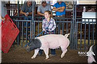 LCFAIR15-2450.jpg