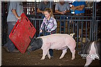 LCFAIR15-2451.jpg