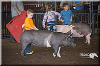 LCFAIR15-2453.jpg