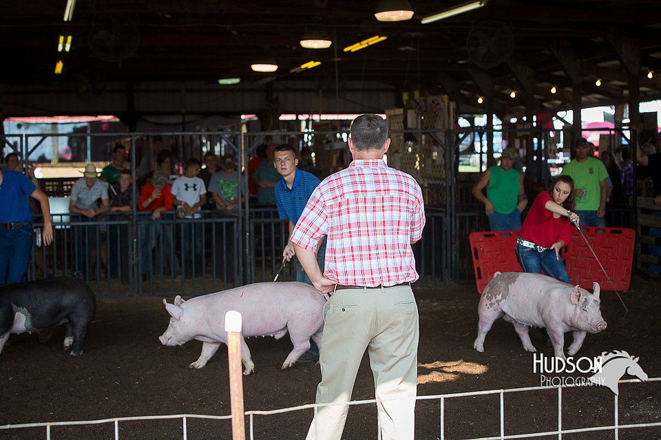 LCFAIR15-2091.jpg