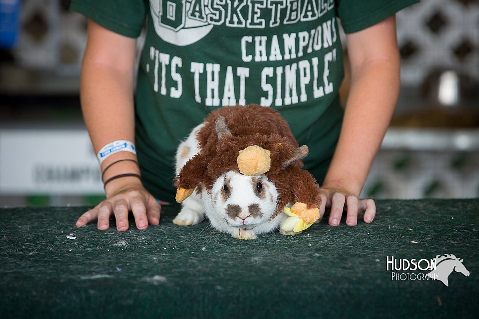 LCFAIR15-2823.jpg