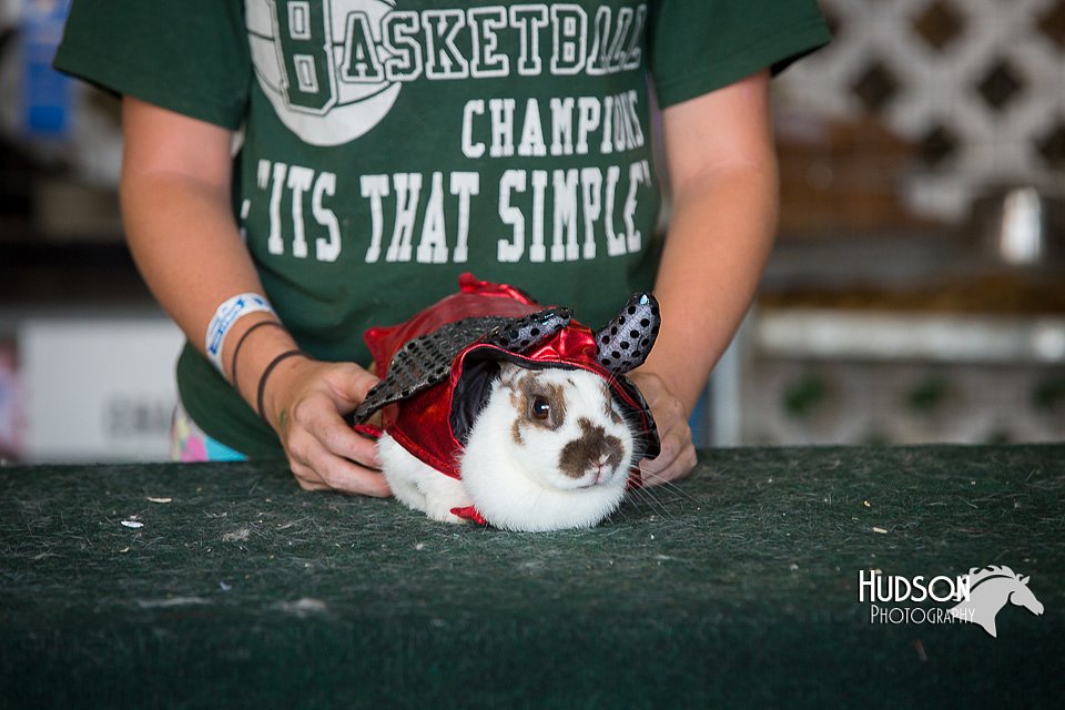 LCFAIR15-2832.jpg