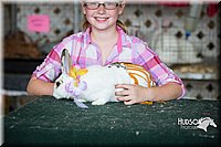 LCFAIR15-2795.jpg