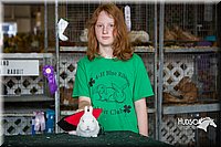 LCFAIR15-2798.jpg