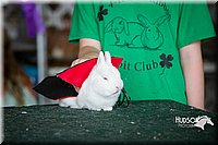 LCFAIR15-2801.jpg