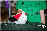 LCFAIR15-2802.jpg