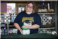 LCFAIR15-2803.jpg