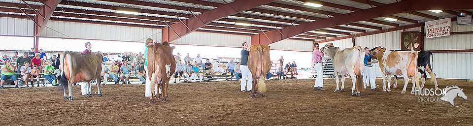 LCFAIR15-4211.jpg