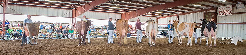LCFAIR15-4247.jpg