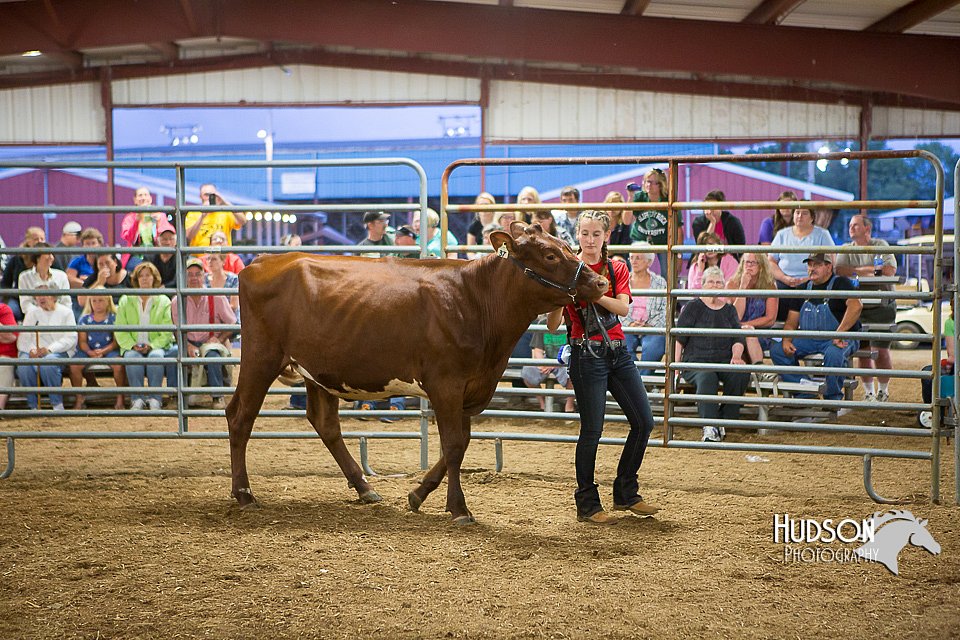 LCFAIR15-4759.jpg