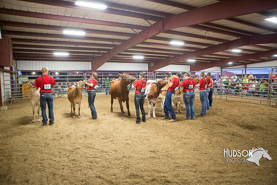LCFAIR15-4770.jpg