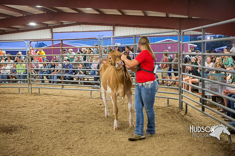 LCFAIR15-4771.jpg