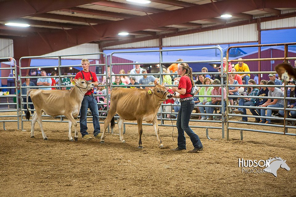 LCFAIR15-4772.jpg
