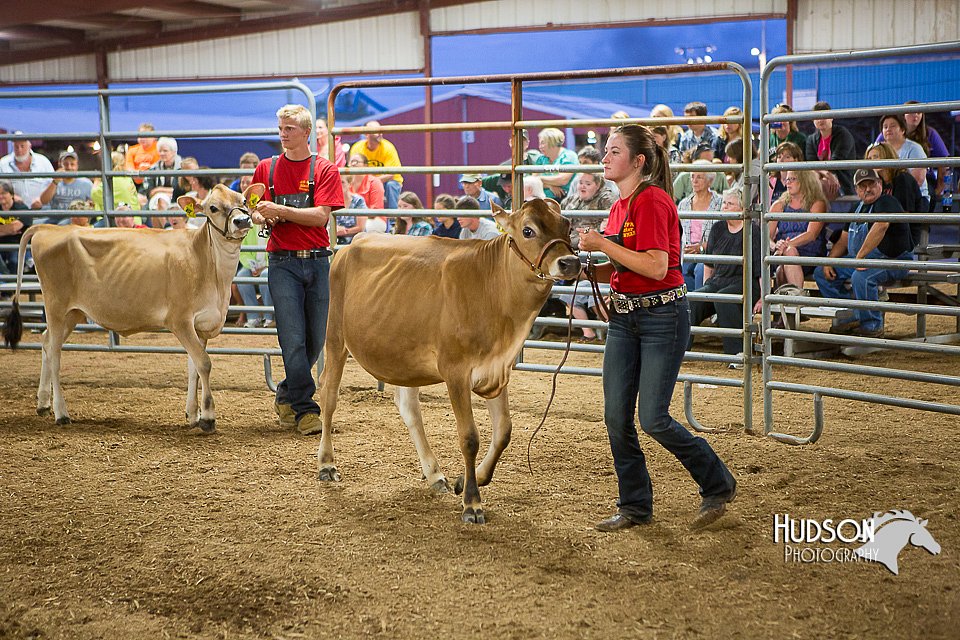 LCFAIR15-4773.jpg