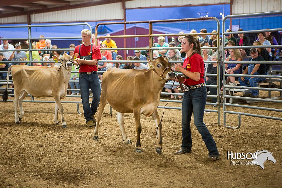 LCFAIR15-4774.jpg