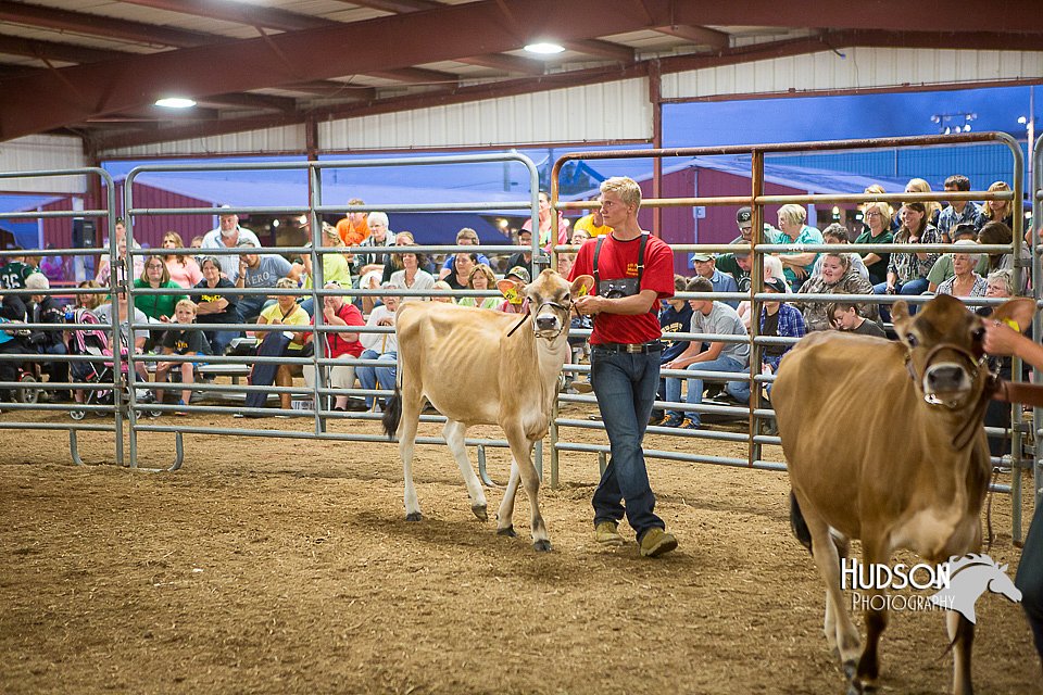 LCFAIR15-4775.jpg