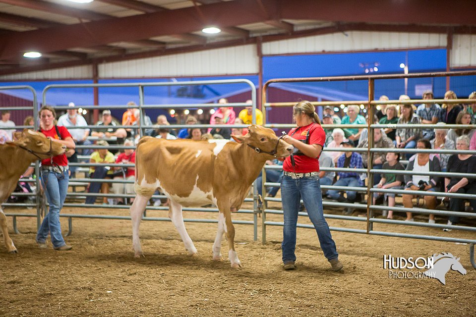 LCFAIR15-4777.jpg