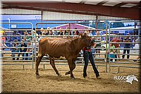 LCFAIR15-4763.jpg