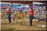 LCFAIR15-4764.jpg