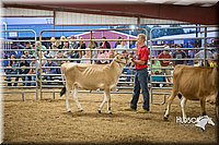 LCFAIR15-4765.jpg