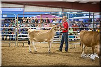 LCFAIR15-4766.jpg