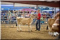 LCFAIR15-4767.jpg