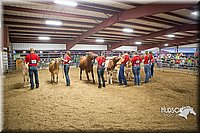LCFAIR15-4768.jpg