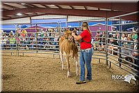 LCFAIR15-4771.jpg