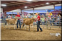LCFAIR15-4772.jpg