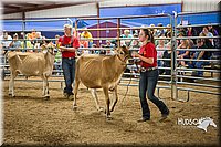 LCFAIR15-4773.jpg